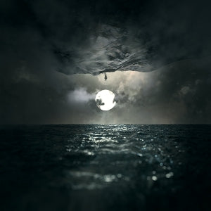 Wooden Veins - In Finitude