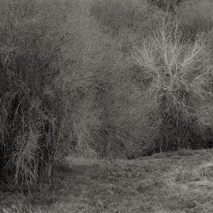 Leimer, K. - Atrophies For Piano