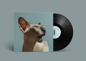 Princess Thailand - Golden Frames