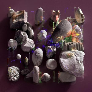 Zawa Zawa - Meditation On Violence