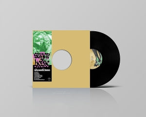 Sugar Horse - Not a Sound In Heaven
