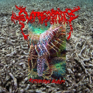 Guttersnipe - Extinction Burst!