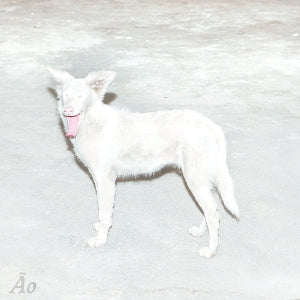 Ao - Malandra