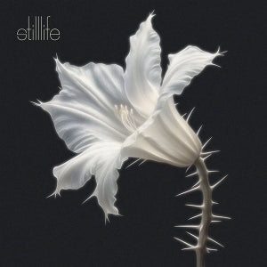 Kariti - Still Life