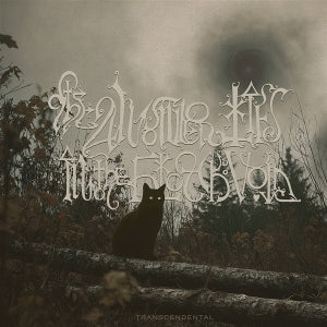 Answer Lies the Black Void - Transcendental