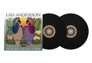 Anderson, Ian - The Secret Language of Birds