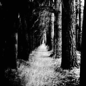 Stray Theories - Falter