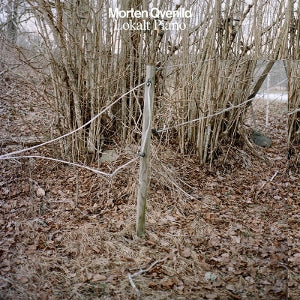 Qvenild, Morten - Lokalt Piano