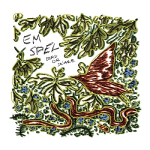 Spel, Em - Bird or Snake