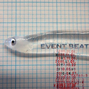 Holy Fuck - Event Beat