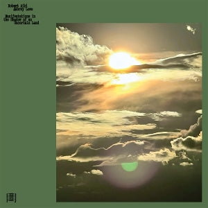 Lowe, Robert Aiki Aubrey - Manifestations In the Shadow of an Unertain Land